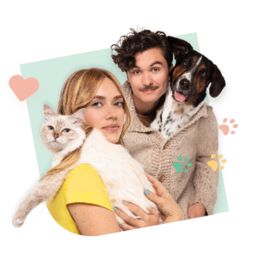 Découvrez vite notre offre exceptionnelle pour les fêtes !